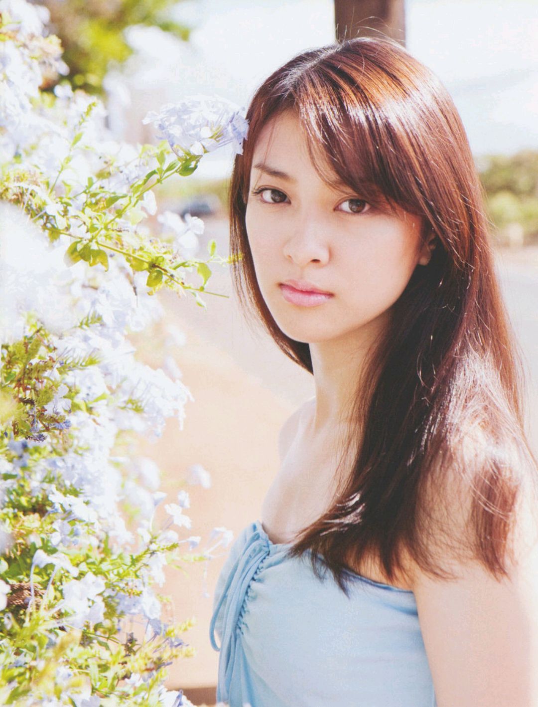 日本女艺人武井咲图集