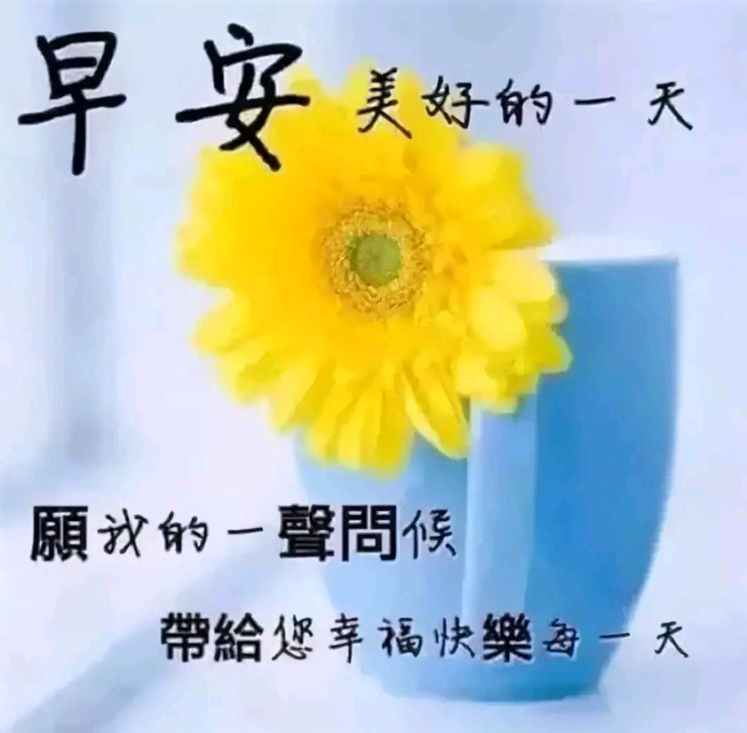 時光如水,總是無言;若安你好,便是晴天,早安