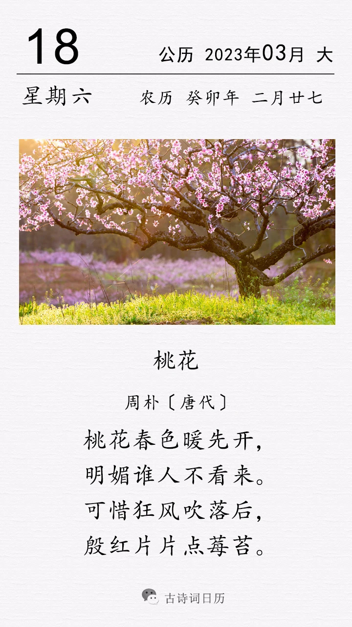 这是唐代诗人周朴的一首咏桃花诗.