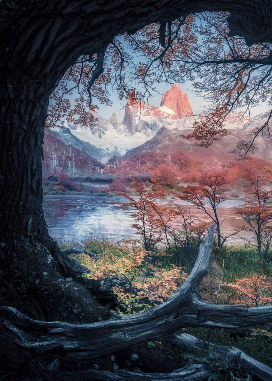 巴塔哥尼亚的秋天——菲茨罗伊#你不知道的世界美景