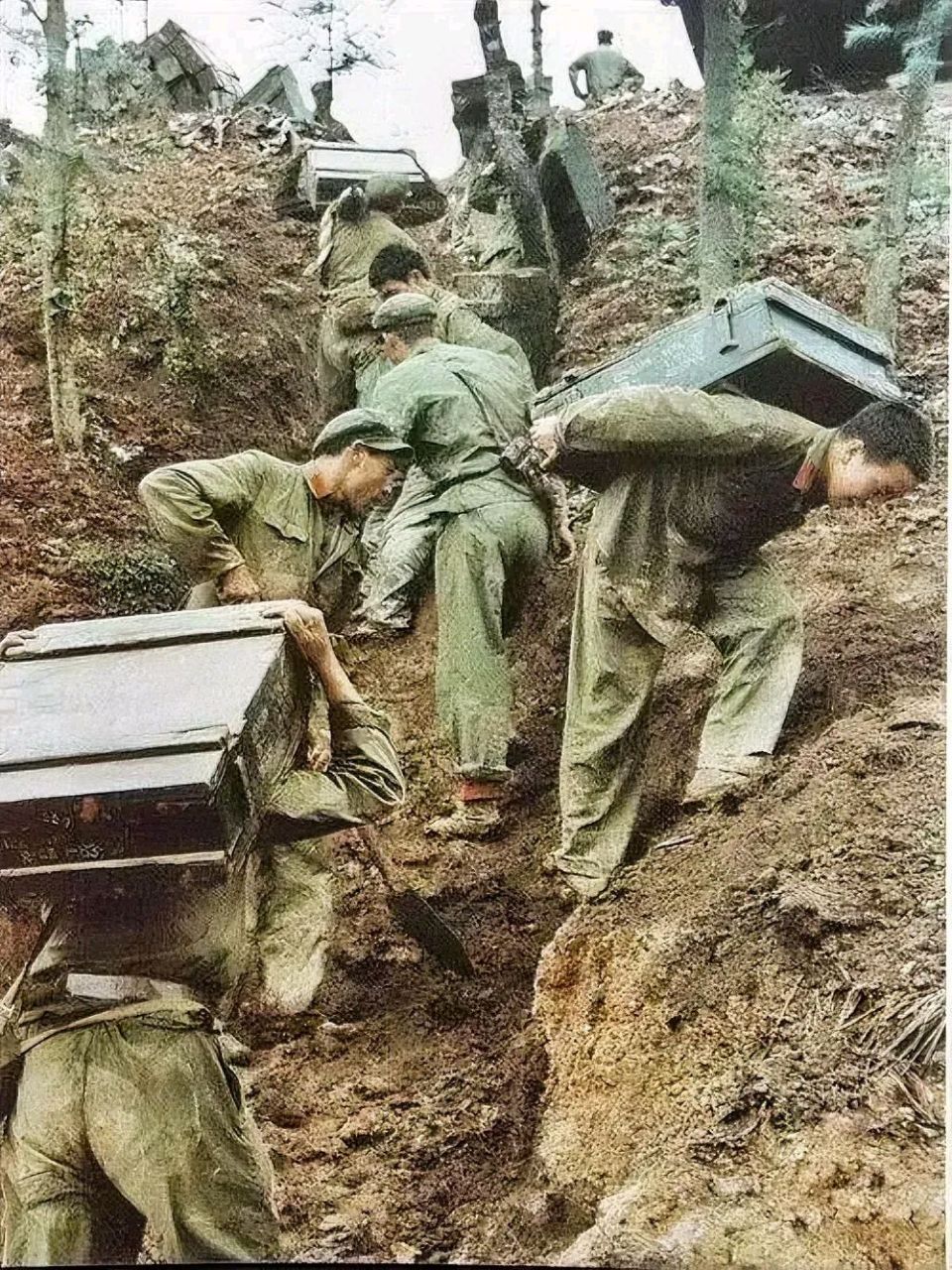 中越自卫反击战相片图片