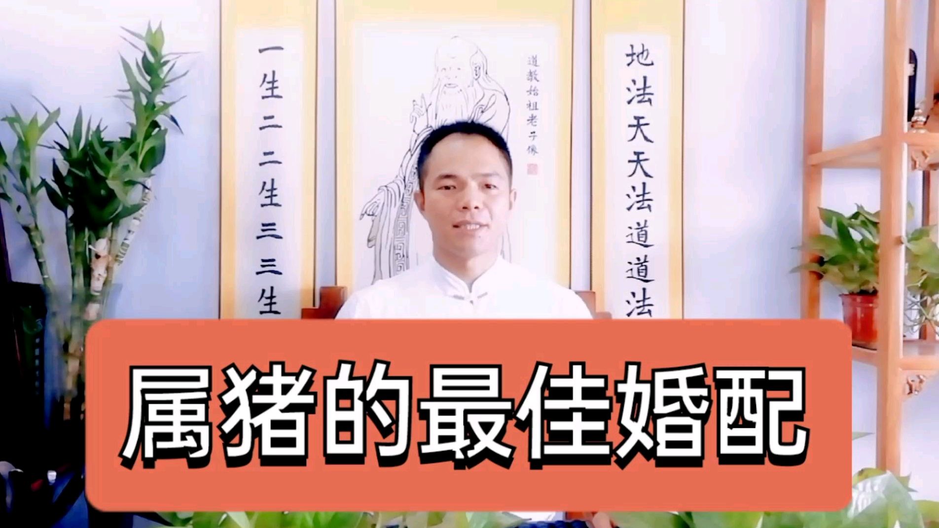 属猪的最佳婚配生肖都有哪些呢?婚前的正确选择,婚后幸福一生!