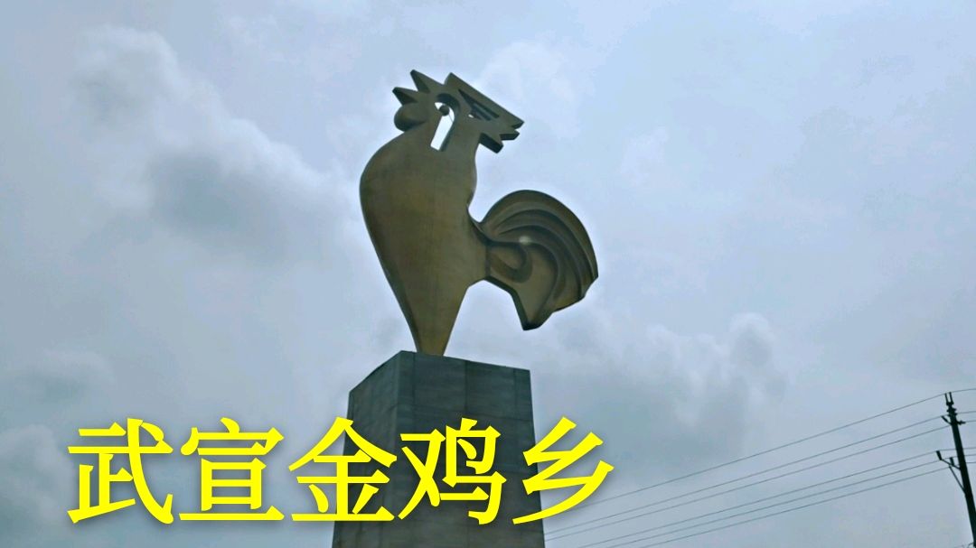 广西武宣大公鸡乡,10多年没变化,多了个土豪金雕像
