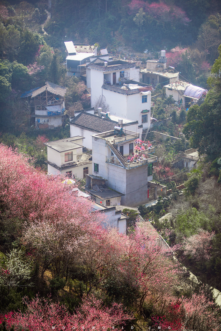 歙县卖花渔村住宿图片