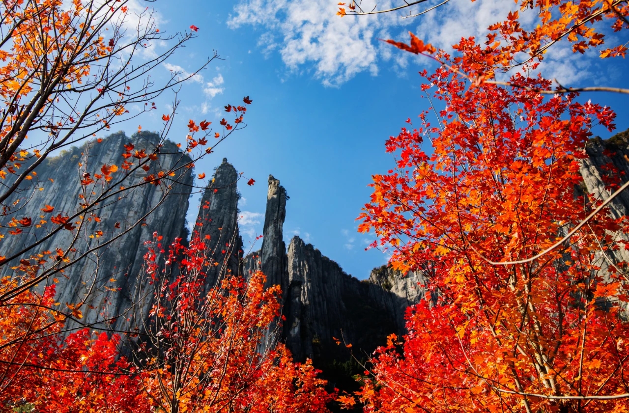 恩施旅游季节秋季图片