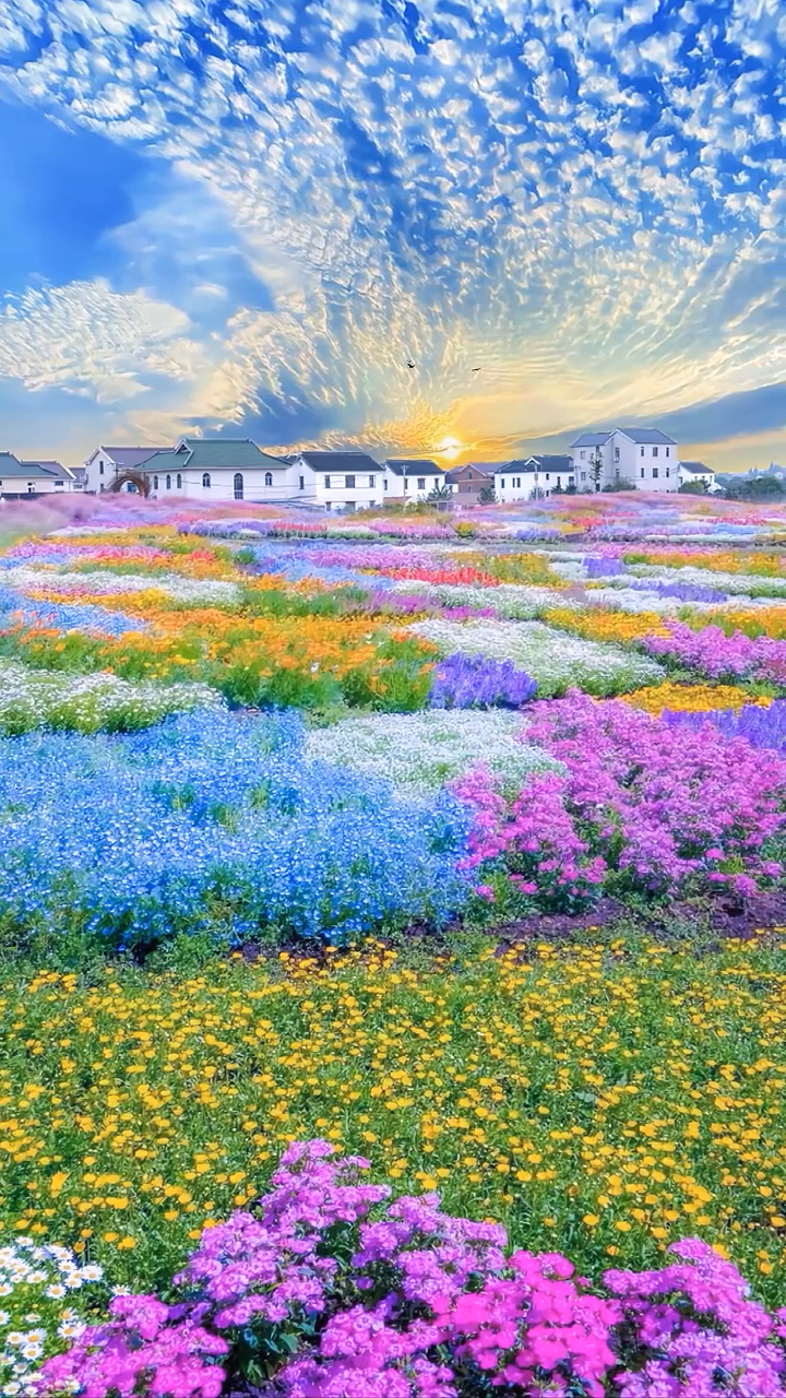 遇见花开,心情美美哒哒