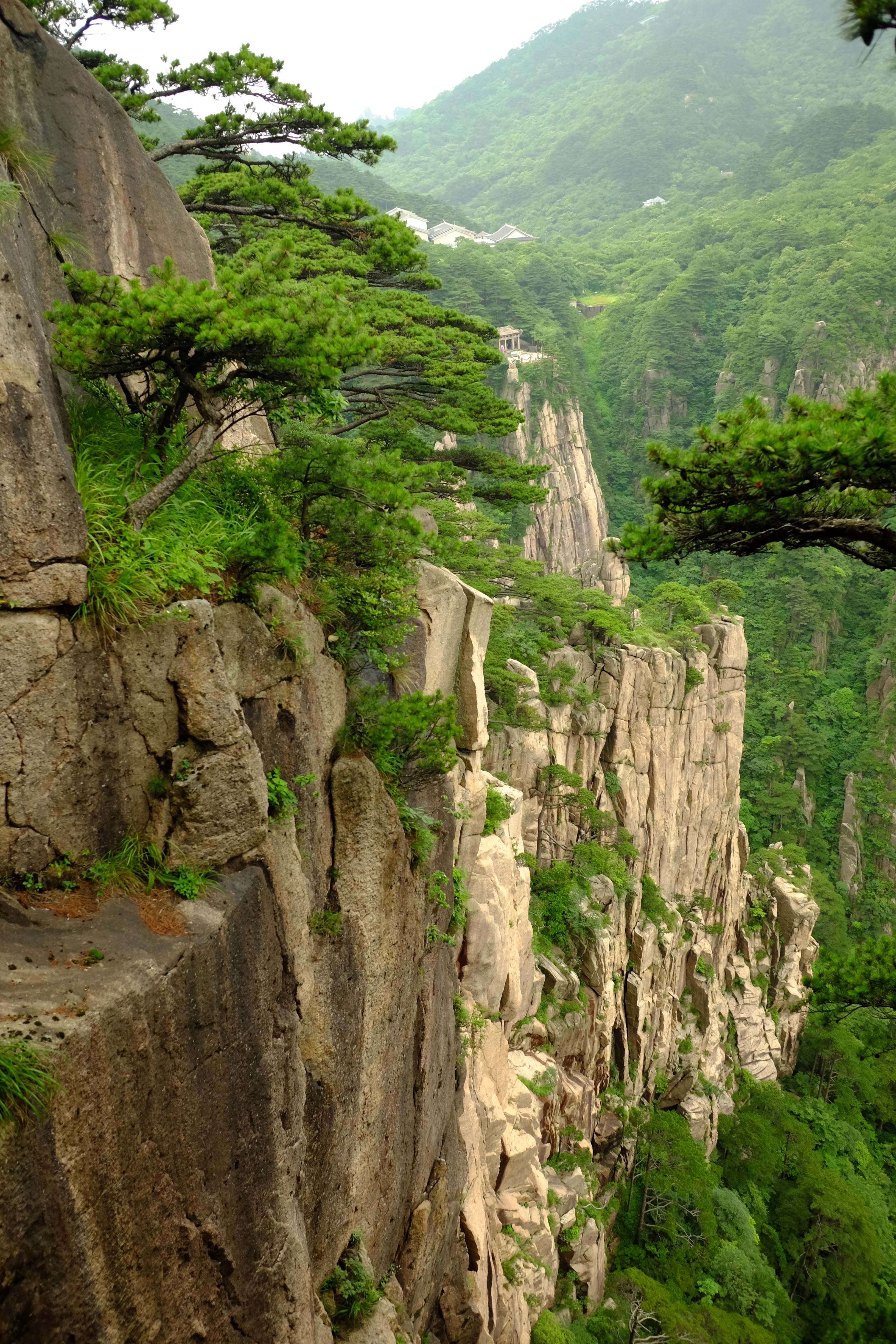 黄山四绝云海图片