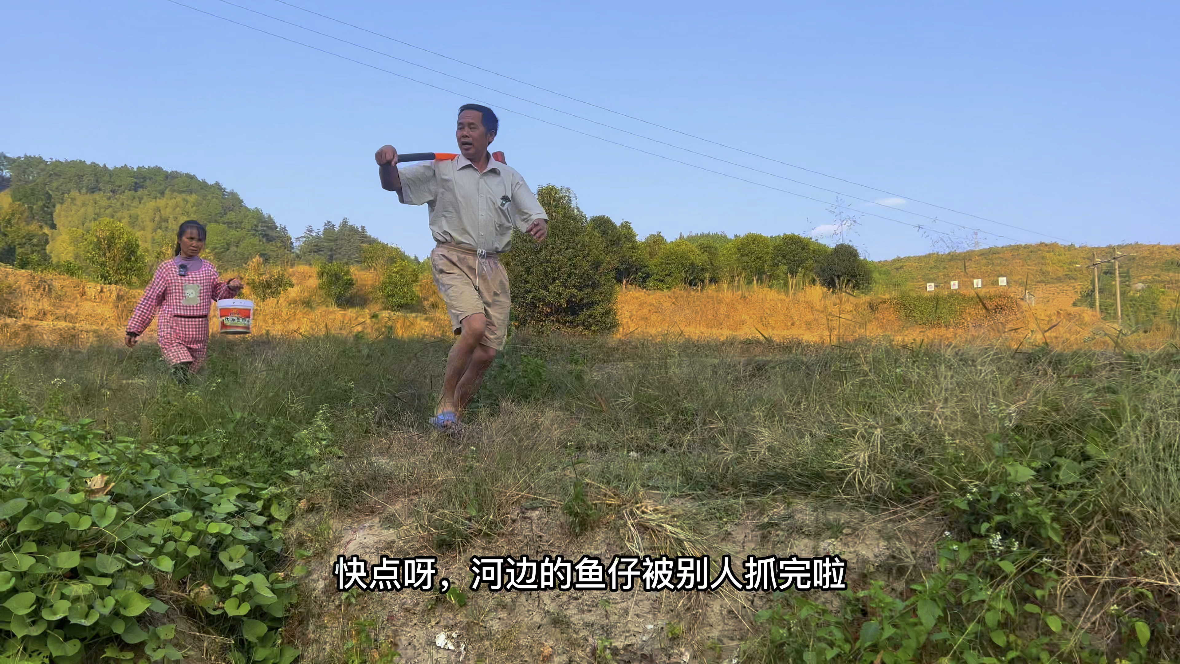 河里的鱼非常多,锤几下就有很多条