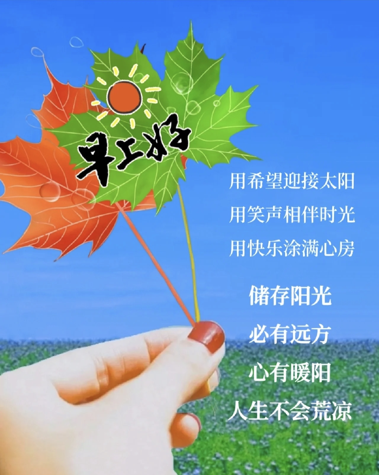 一天一个祝福语早上好(一天一个祝福语早上好新年祝福语)