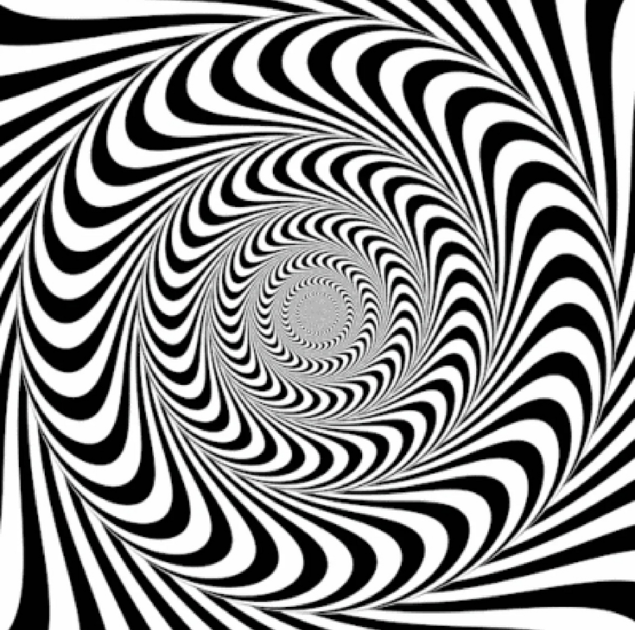 网友:这三张图片,一直盯着看让人头昏眼花,有人知道这是什么原理吗?