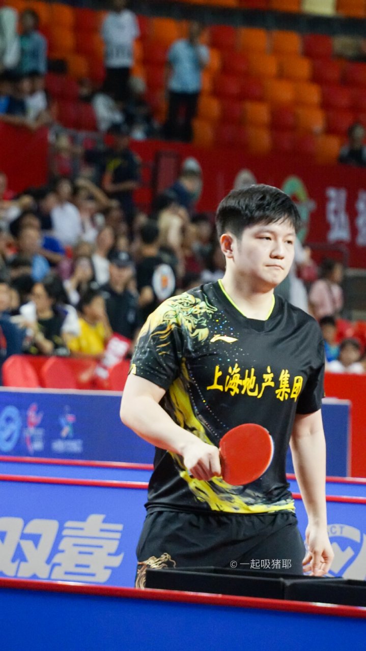 嘟嘴小猪一只#樊振东# #乒乓球