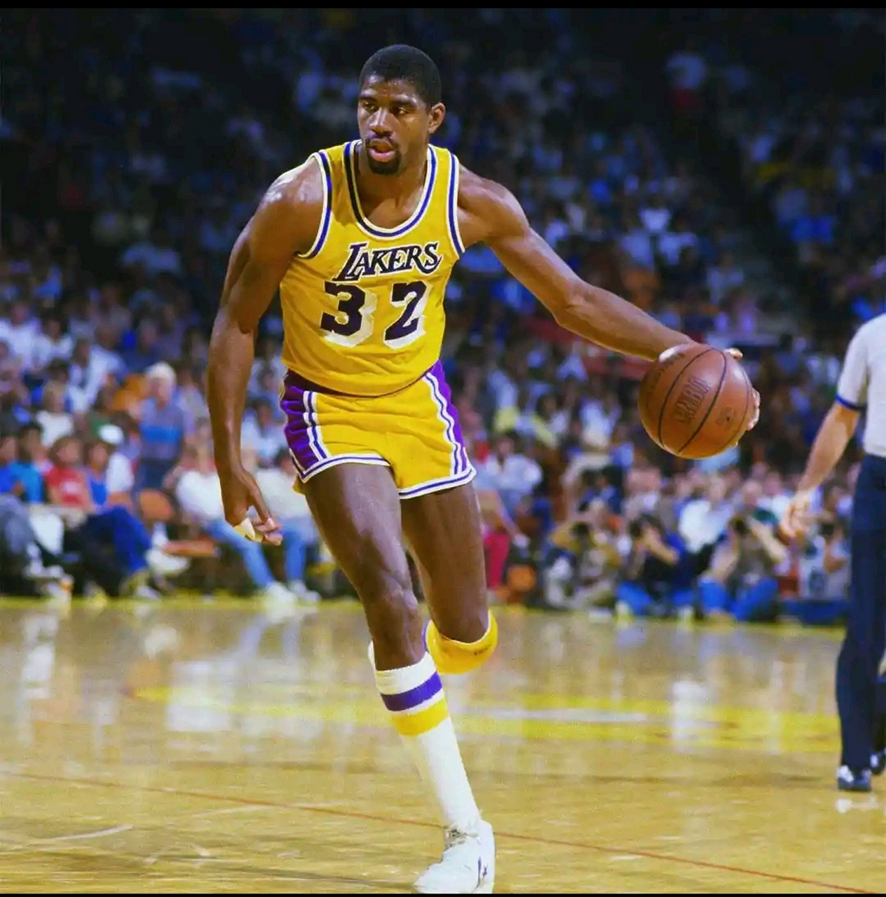 会在goat的讨论中