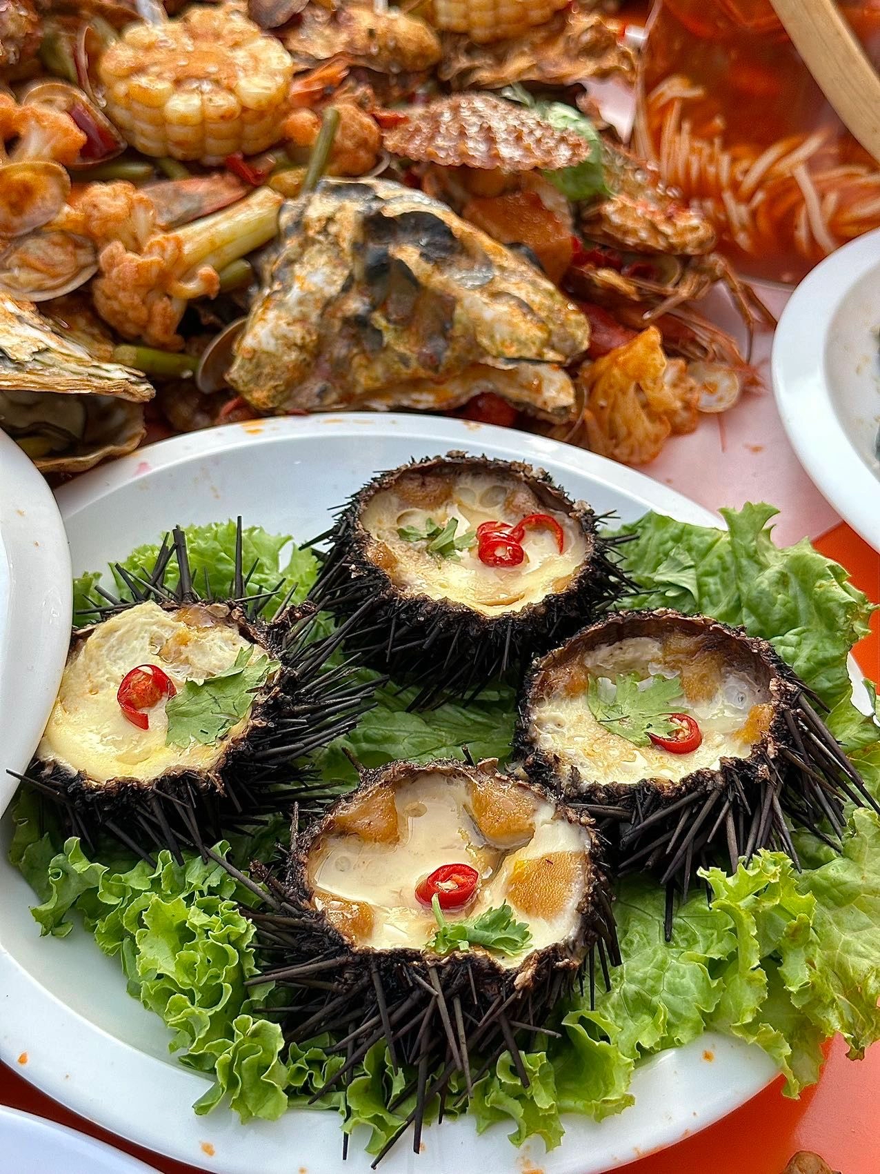 在青岛吃到了一种很新的东西!瓦罐海鲜!