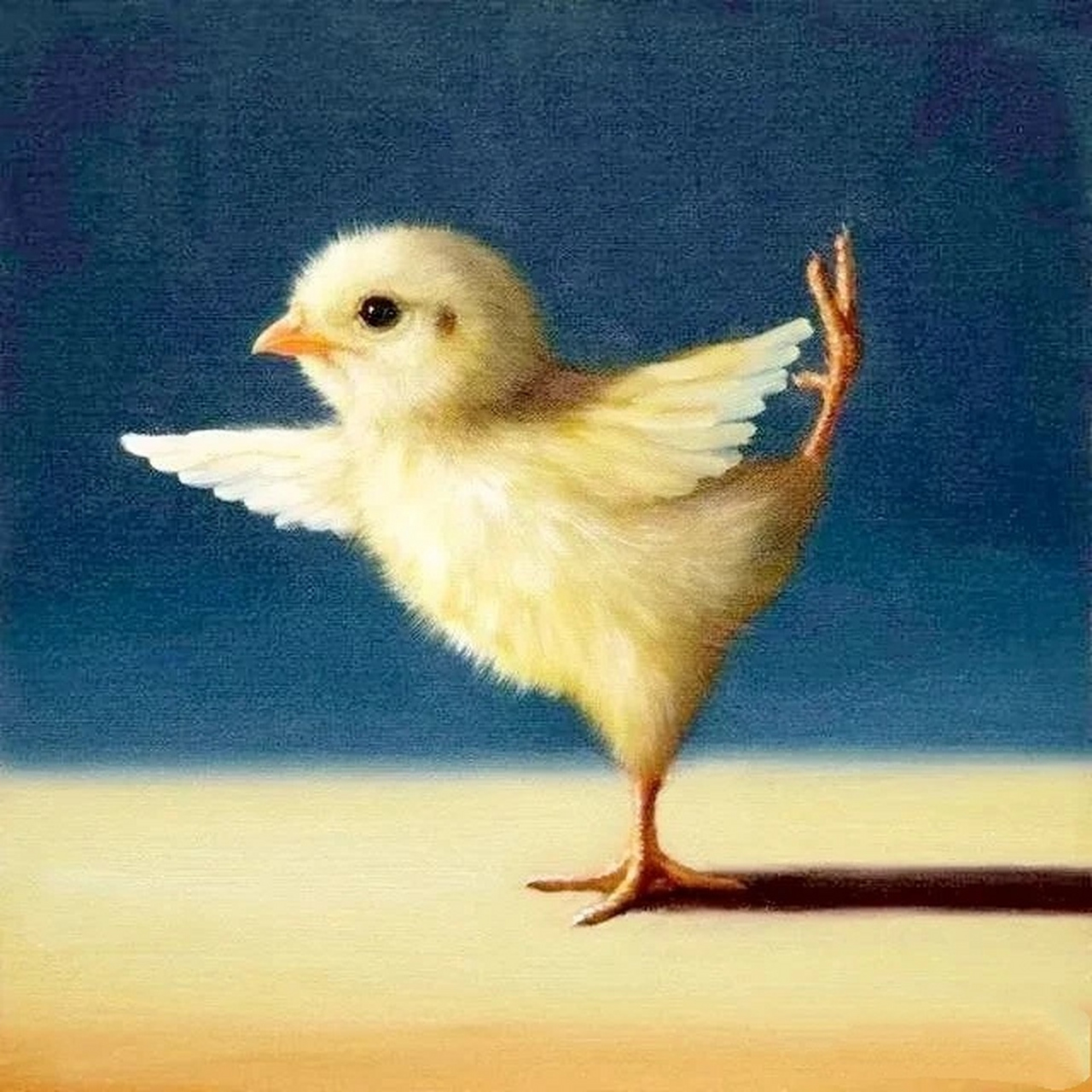 画家lucia heffernan画的一组瑜伽小鸡,高难度的动作,逼真的表情,简直