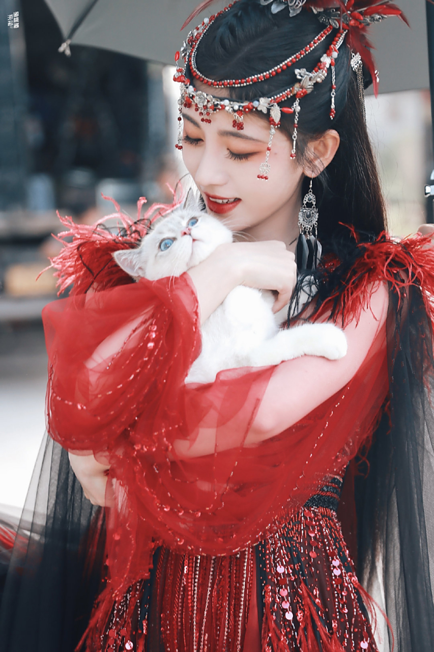 鞠婧祎花戎# 看到花戎上热搜了,兴冲冲点进去一看