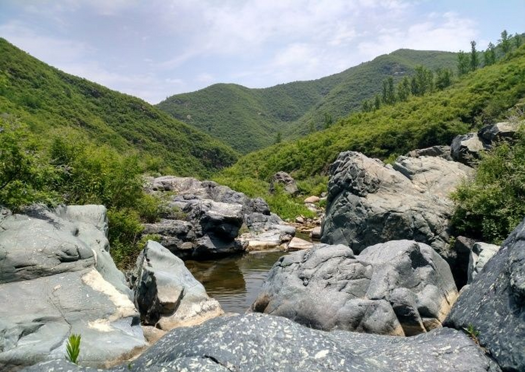 一个清凉的日子钓鱼是不错的选择,河南嵩县大坪乡就有一个这样的地方