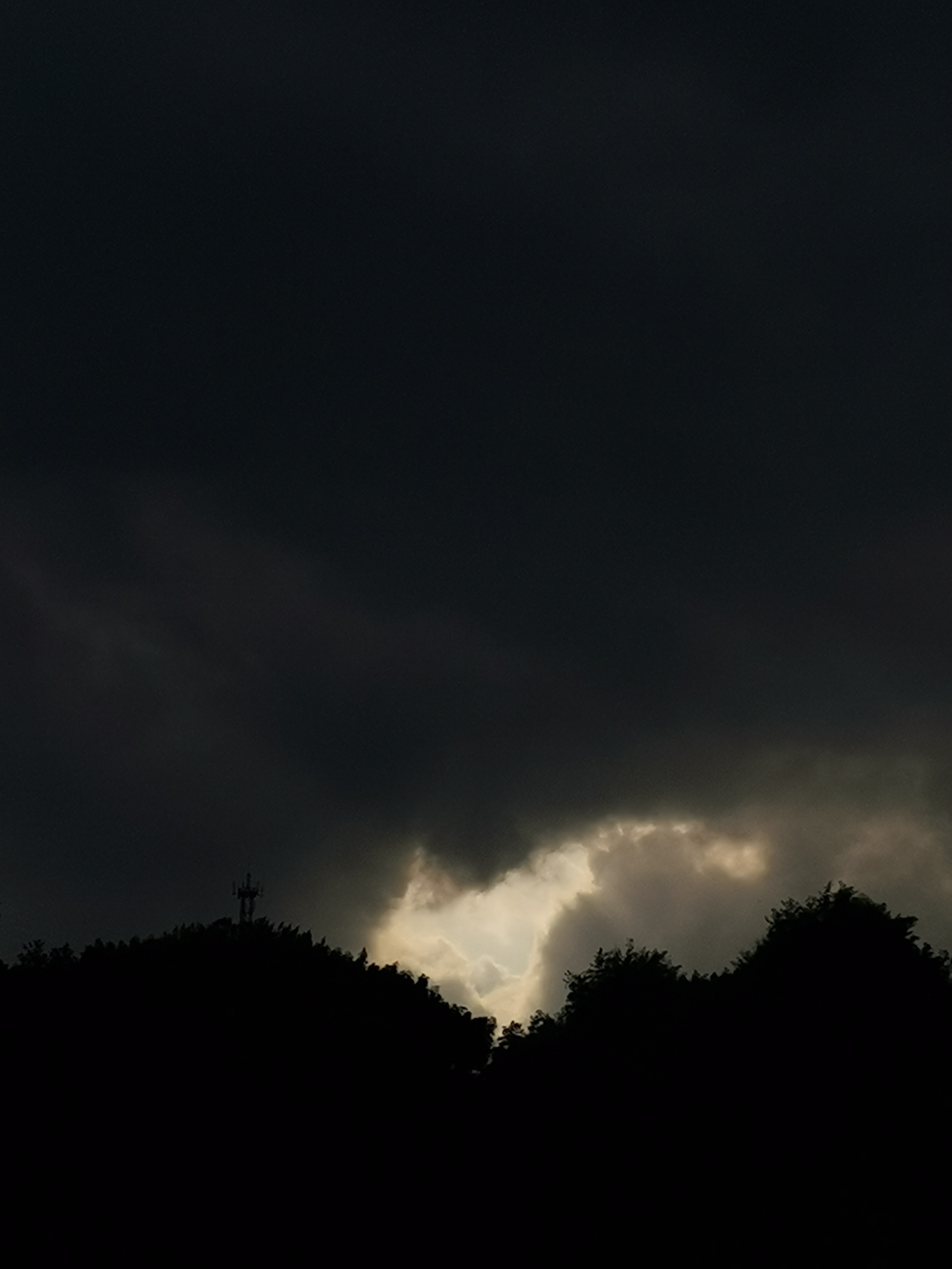 对生活的热爱,是来世一遭的底色之一