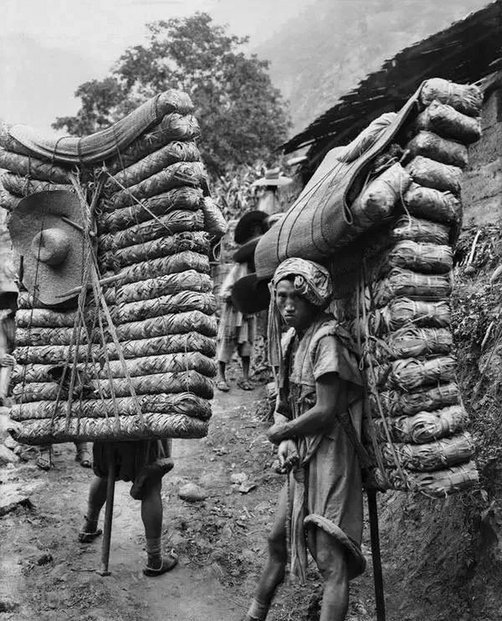 1908年,四川茶马古道背夫背砖茶