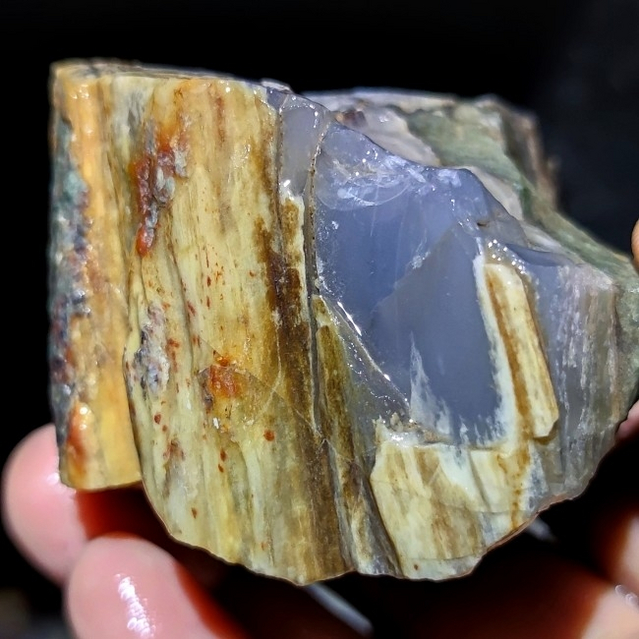 玛瑙山上捡回来的玉化树桩,朋友说是树化玉,就想问一问树埋人地下可以