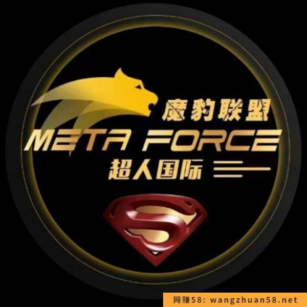 佛萨奇（Meta Force）是什么项目，为什么朋友圈这么火
