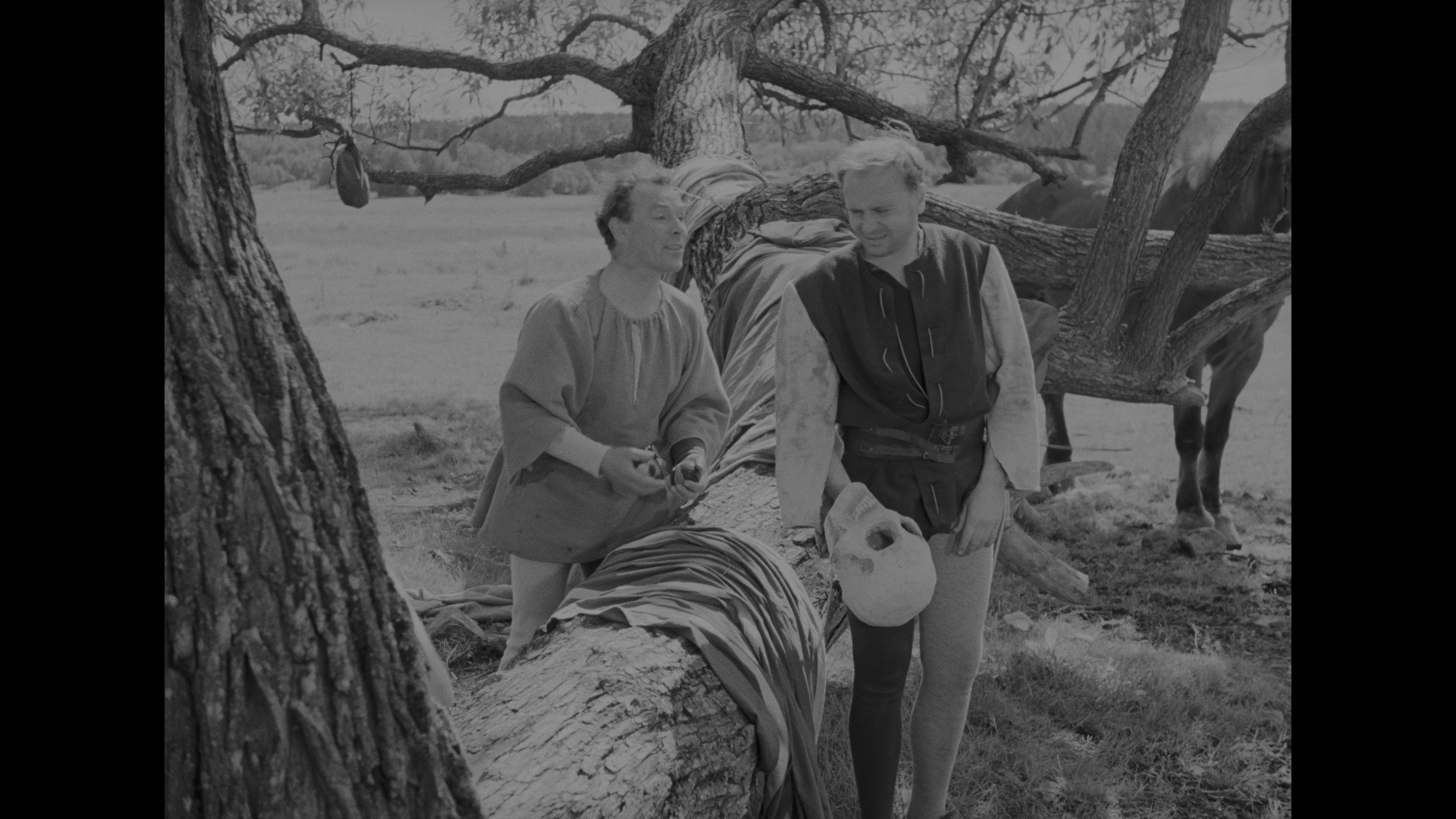4K蓝光原盘[第七封印]The.Seventh.Seal.1957.2160p.BluRay.REMUX.HEVC.LPCM.1.0-FGT 54.96GB