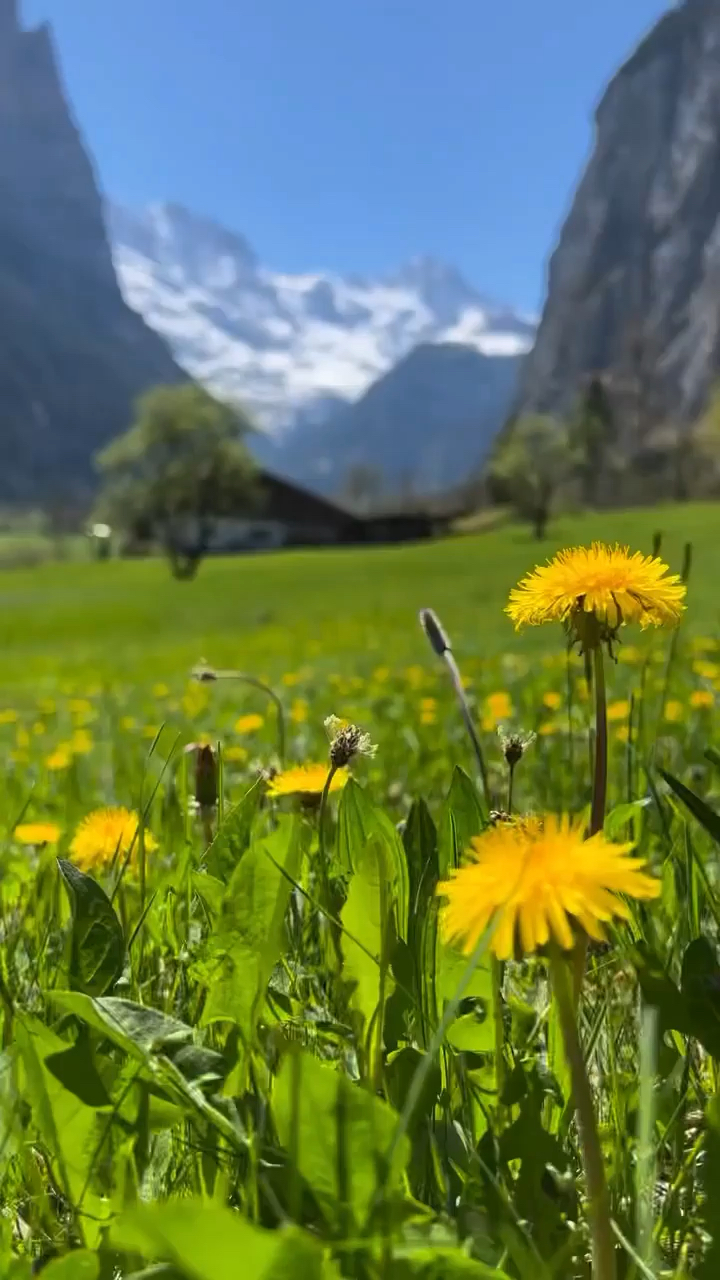 绝美景色 净化心灵