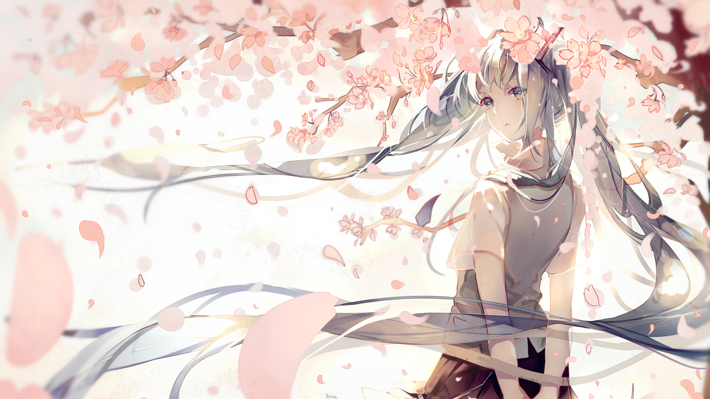 樱花下的公主#二次元美图# #动漫美图