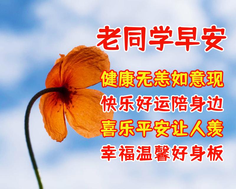 送给老同学的温馨祝福语鲜花图片带文字