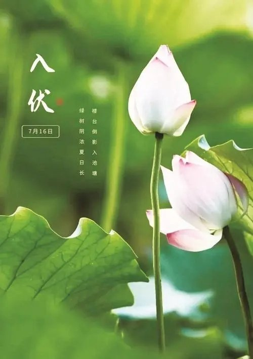 500_711竖版 竖屏