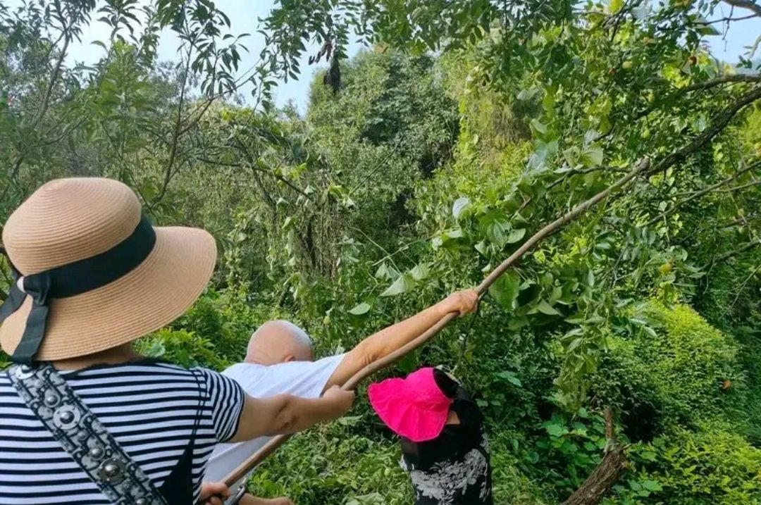 爱采购首页 商品专题_果树有网友表示: 这个人我很了解,他叫孔宪胜,八