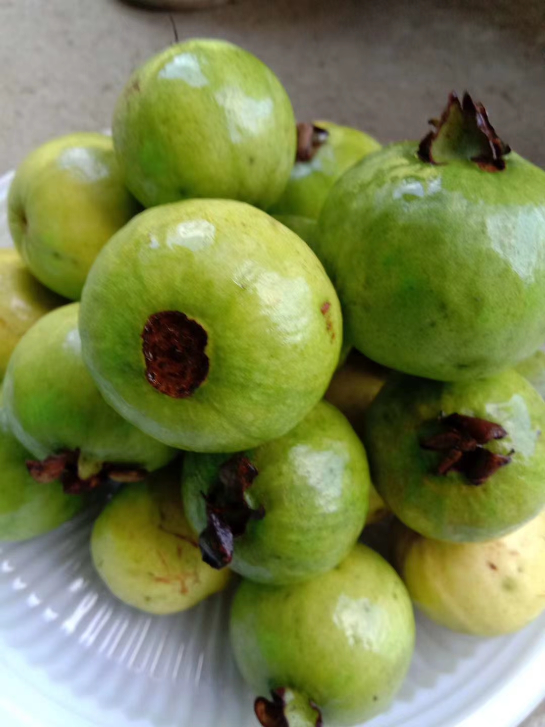 小时候拉肚子,就直接摘番桃的嫩芽咬着吃.就好了