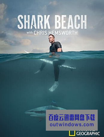 2021纪录片《鲨鱼海滩》1080p.BD中字1080p|4k高清