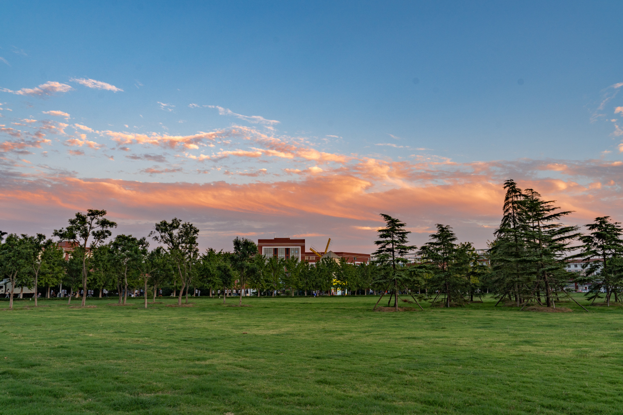 商丘学院风景照