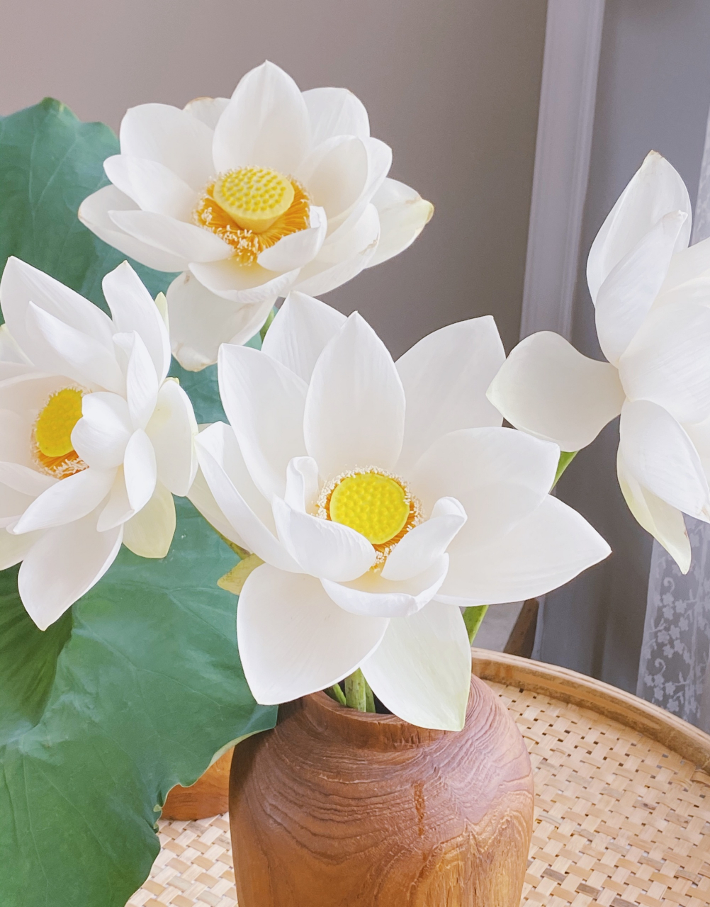 一束如同小葵一樣純白清澈的荷花 676767