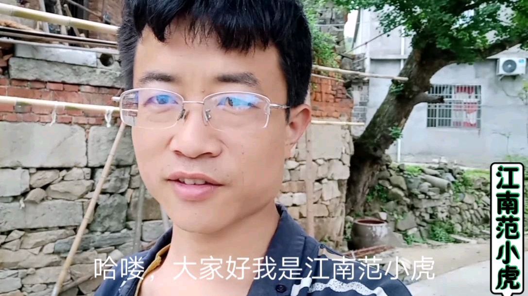 小伙带你走进真实农村,感受最原始生态养鸡方式,小鸡仔狂野奔跑
