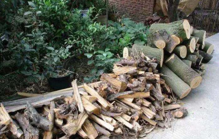 西安一老人4捆柴卖10元担心开价贵,男人出26元老人反应让人心痛