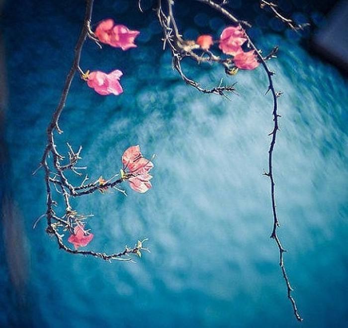 冰心的《春水》