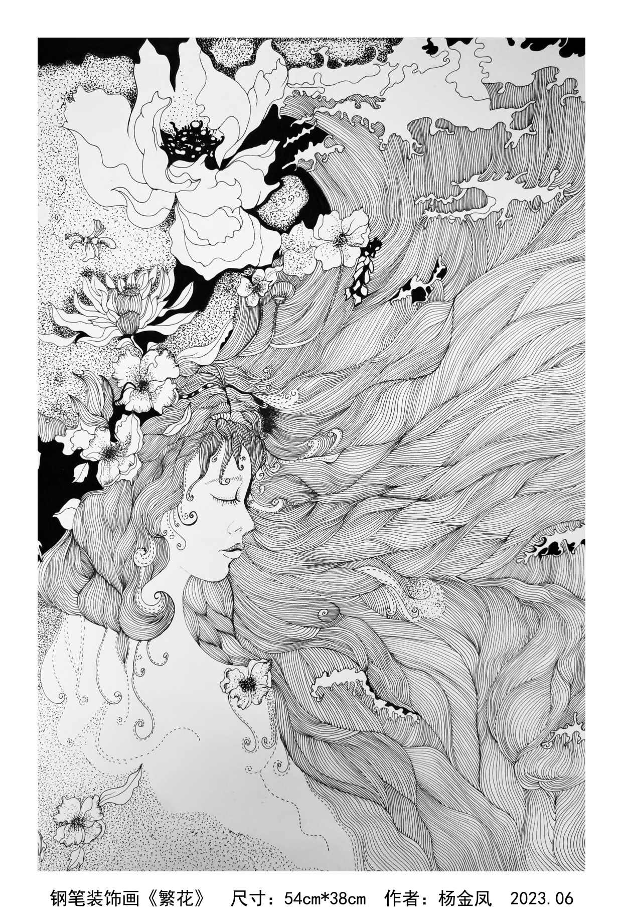 精细入微 02妙笔生花——杨金凤钢笔装饰画临创作品欣赏