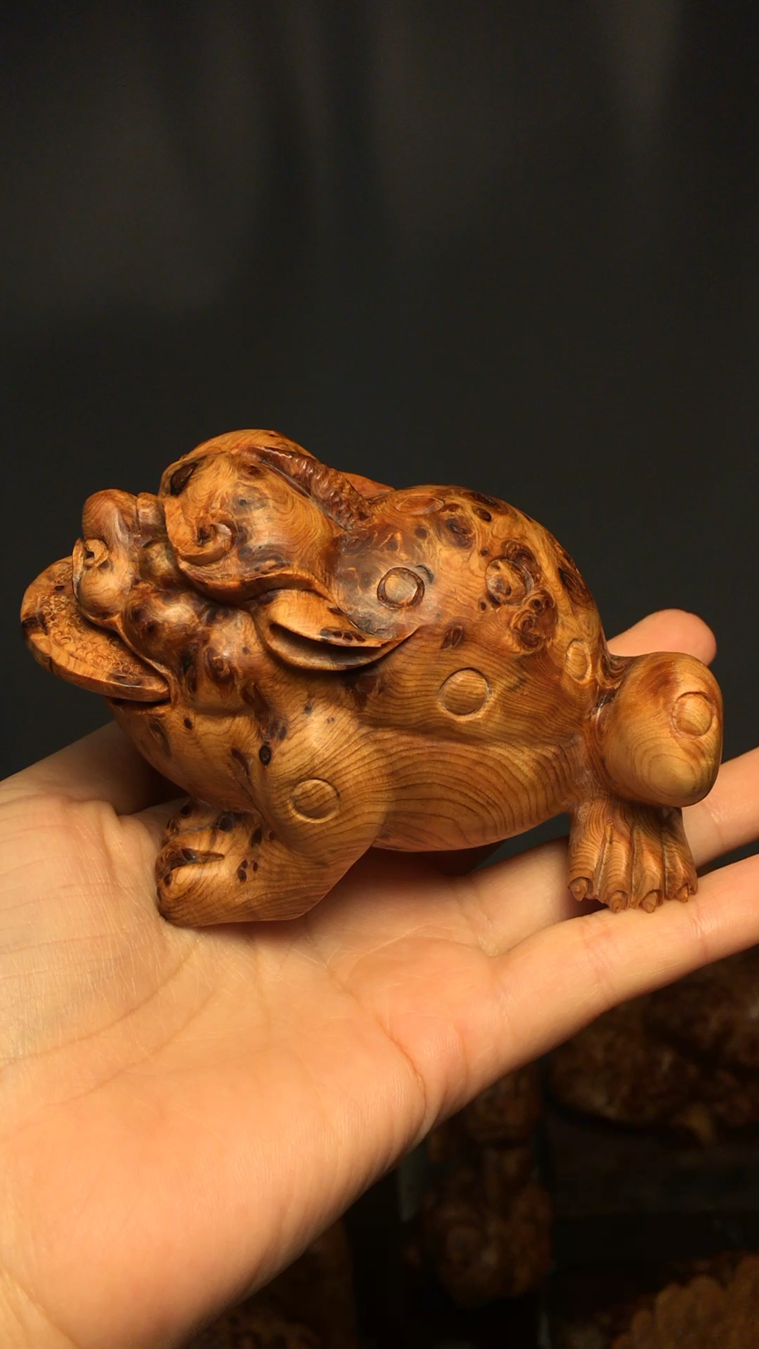 金蟾又称三足金蟾,身上嵌满金钱珠宝,很是富有财气.