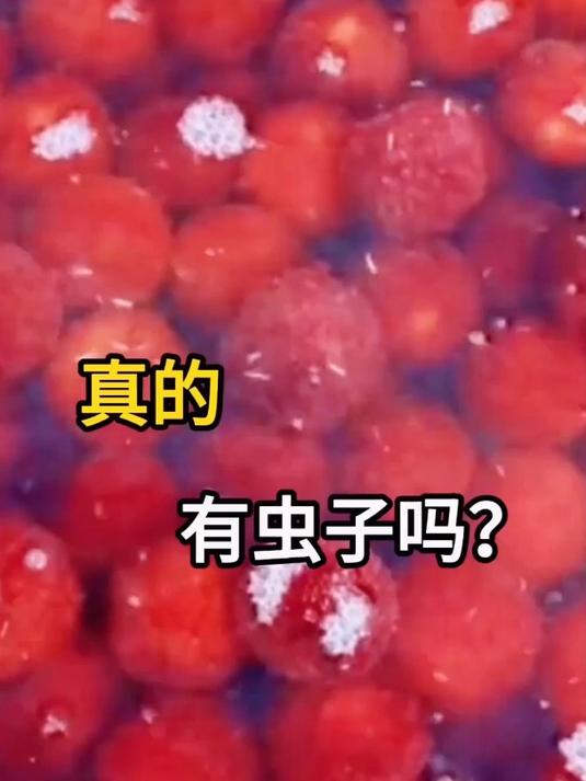 电脑之家下载 第2页