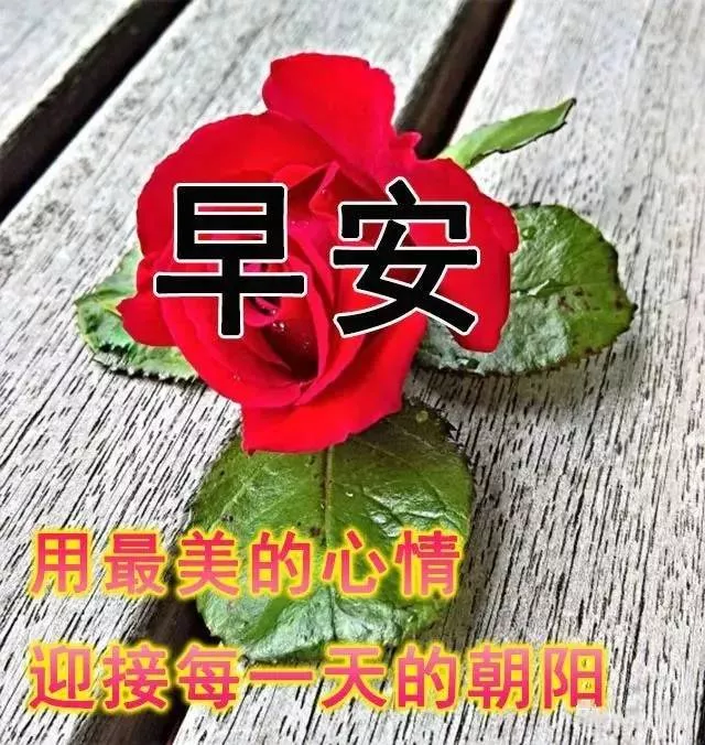 新版早上好问候语图片大全