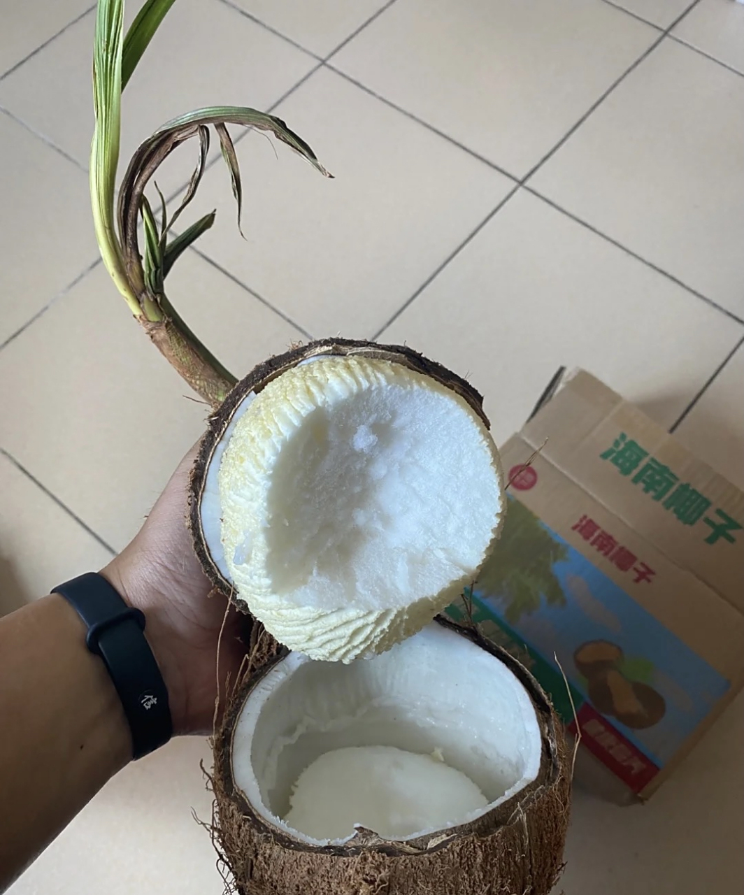 椰宝吃起来真的就像微甜的泡沫吗? 不是听说很美味吗?