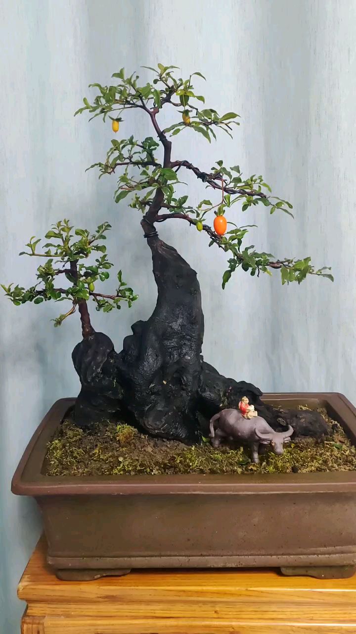 金弹子之"歪瓜裂枣"系列!