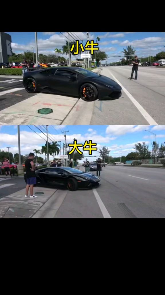 兰博尼基大牛和小牛,怎么区分?-度小视