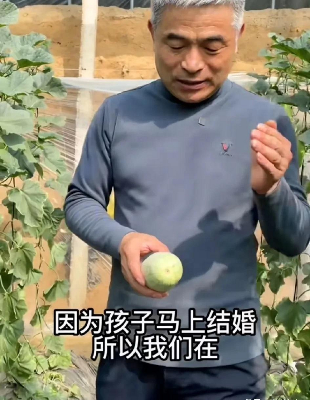 郭振回归啦,郭刚堂的儿子要回家结婚啦,郭爸爸掩饰不住内心的喜悦说:"