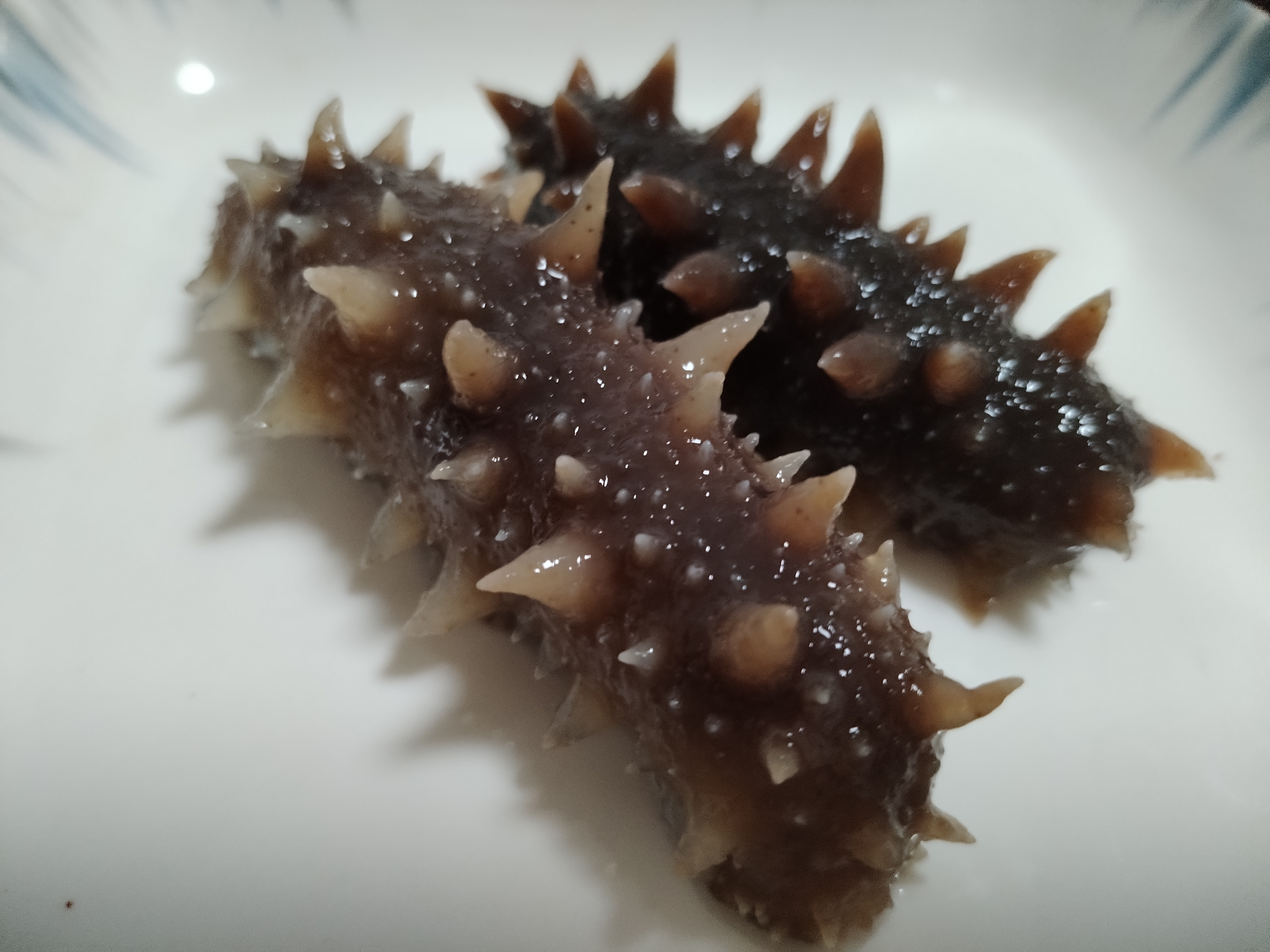 拉缸盐海参泡发