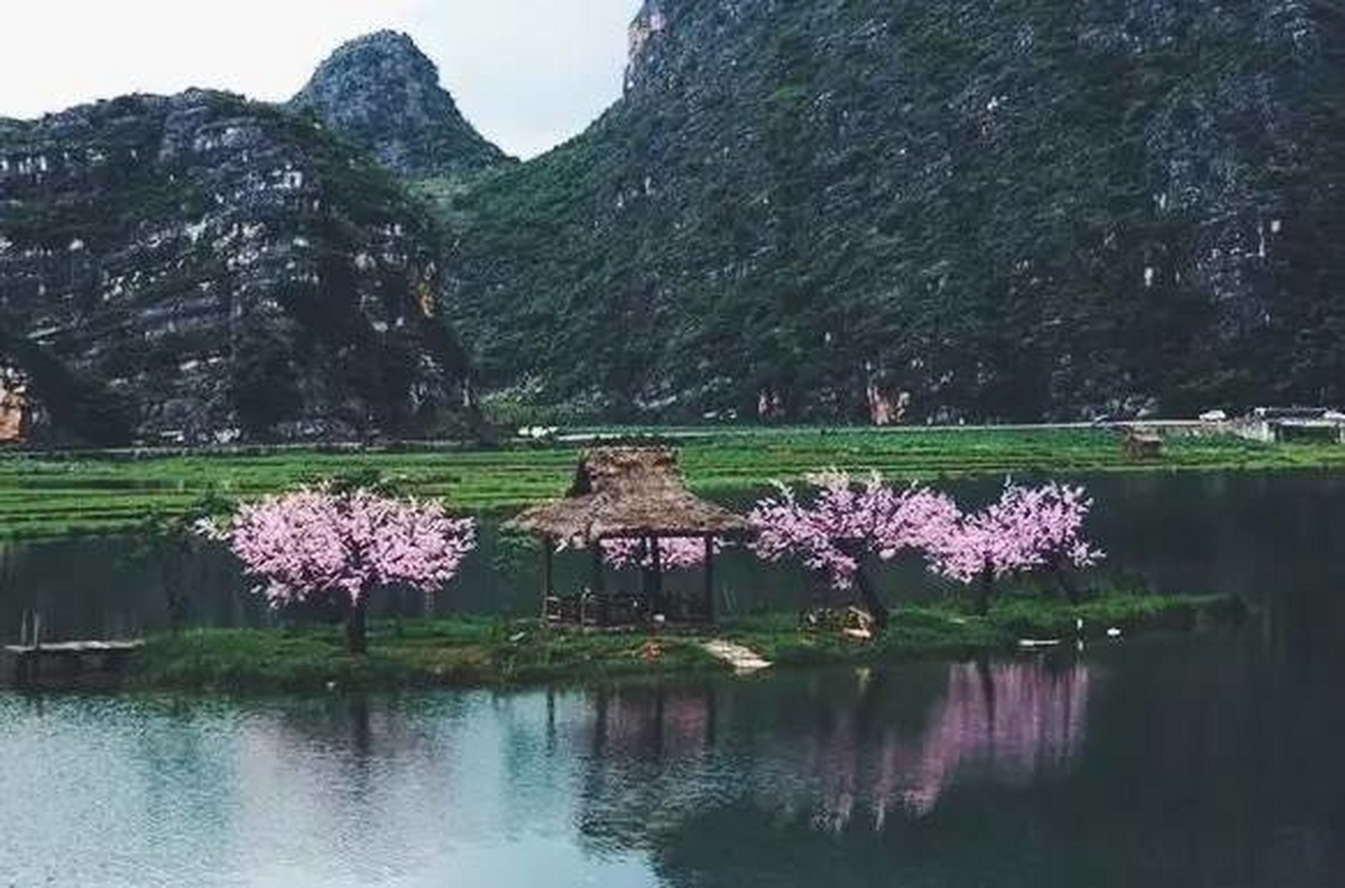 在《三生三世十里桃花》的电视剧里,迷谷小哥真的很可爱,呆萌,而且很
