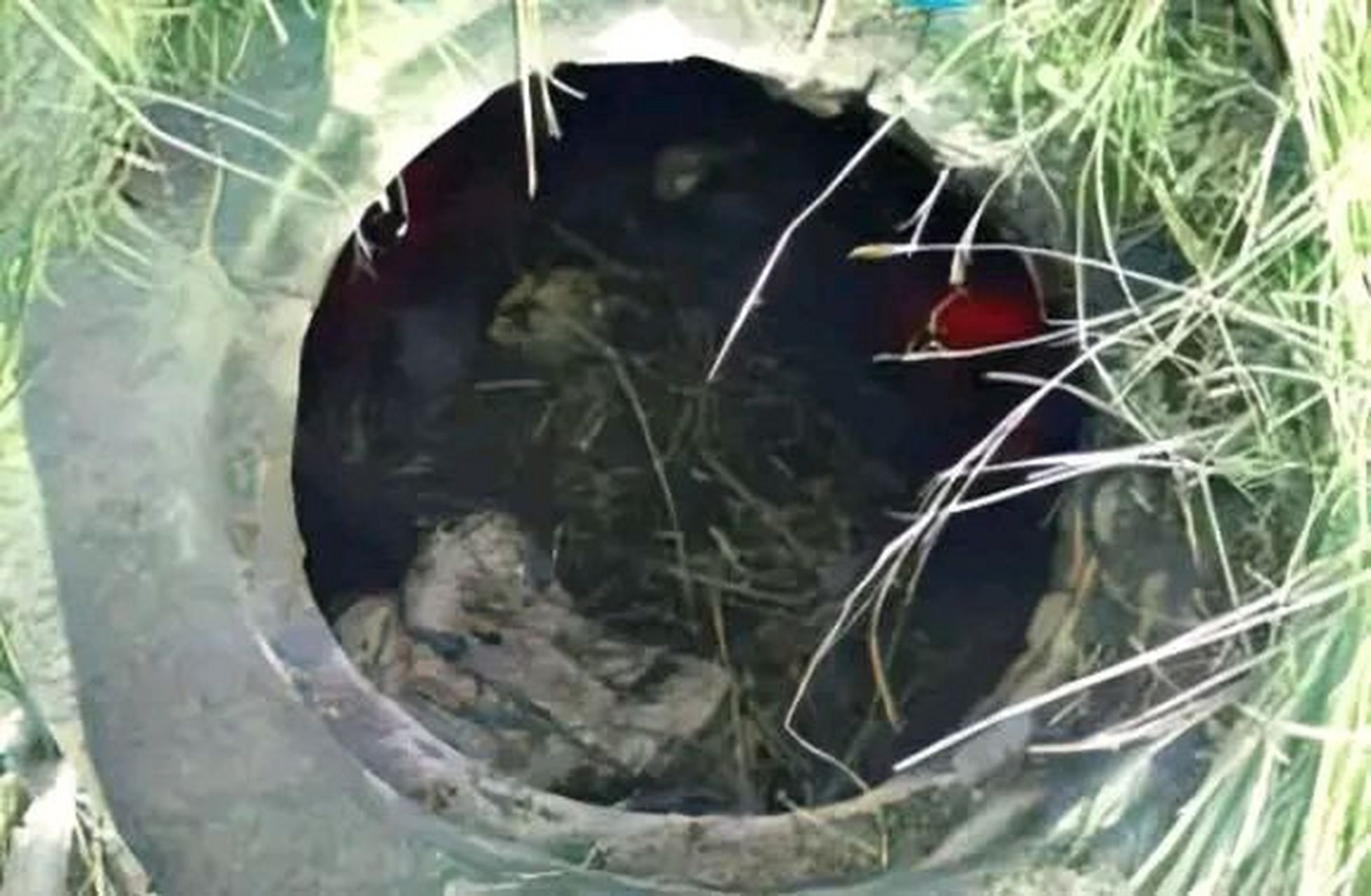 宁安市特大杀人犯苏红七年间故意杀害四人,四起杀人案件均采取相同