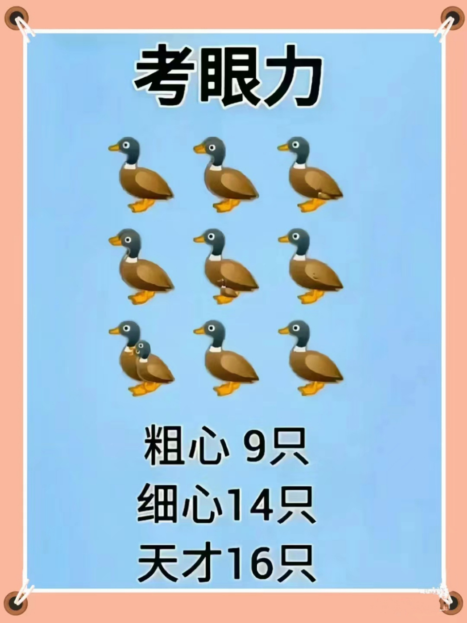 考眼力‖你们发现了几只鸭子08