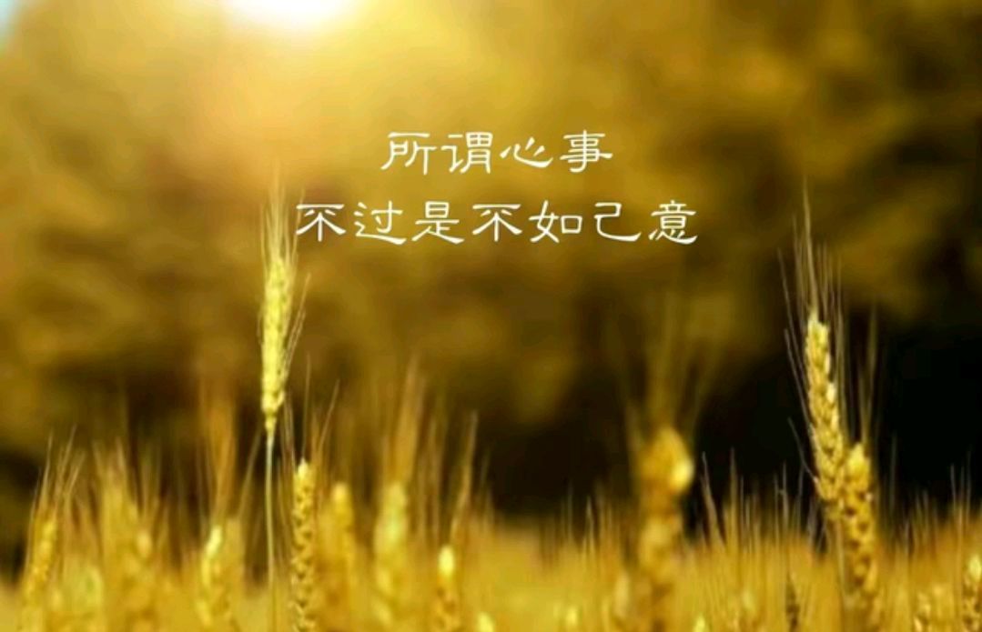 费尽心机换来的爱情,终究是一场空